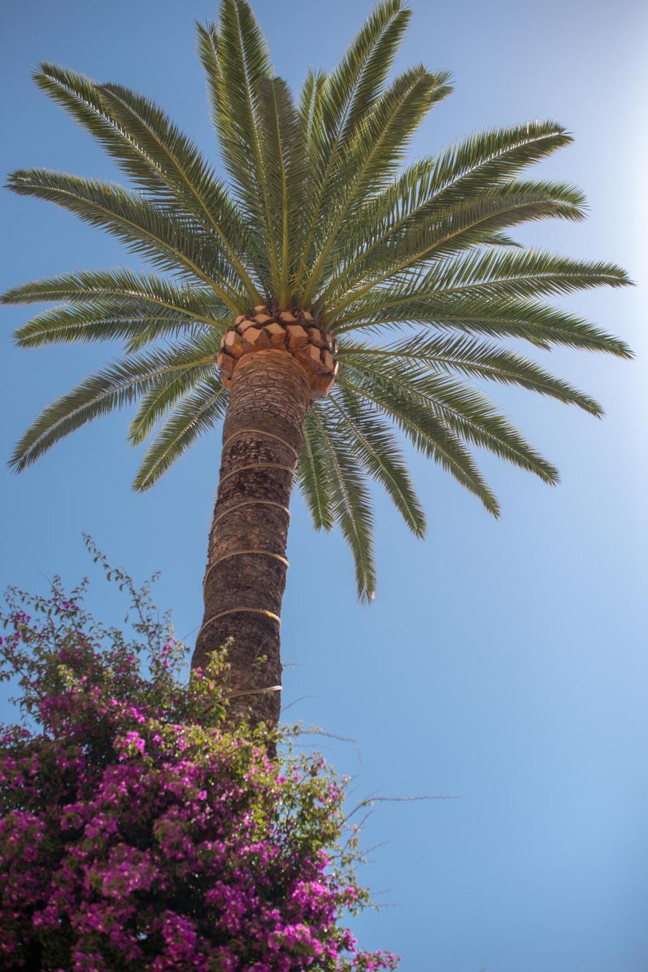 Hotel Et Appartements Reine D'Azur Roquebrune-Cap-Martin Exterior foto